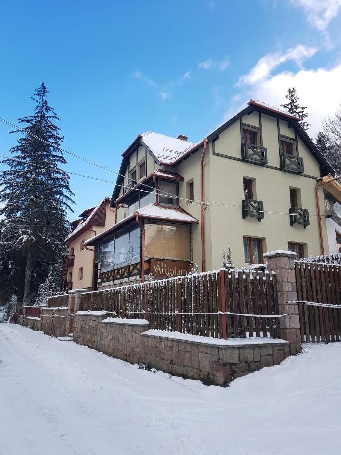 Villa Atriolum Беїле-Тушнад Екстер'єр фото